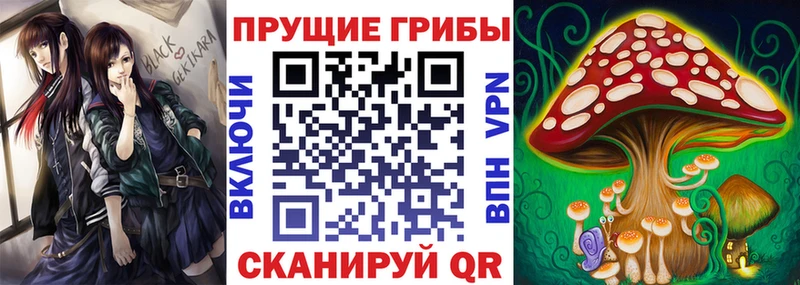 Галлюциногенные грибы Psilocybine cubensis  Саранск 
